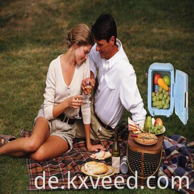 6l gefärbter kleiner Eisbox/Büro Haus im Wohnheim Kühlschrank/tragbarer Kühlschrank